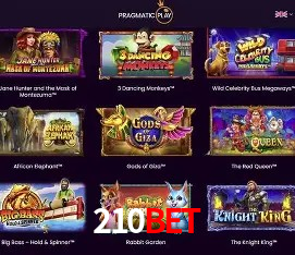 Interface Premium 210bet
